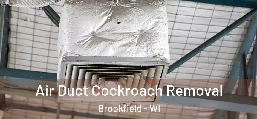  Air Duct Cockroach Removal Brookfield - WI