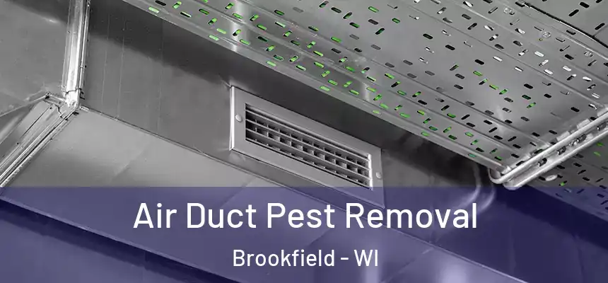  Air Duct Pest Removal Brookfield - WI