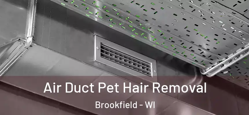  Air Duct Pet Hair Removal Brookfield - WI