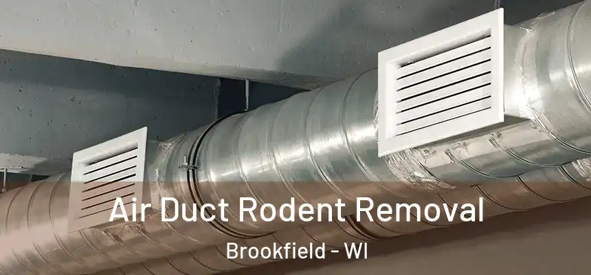  Air Duct Rodent Removal Brookfield - WI