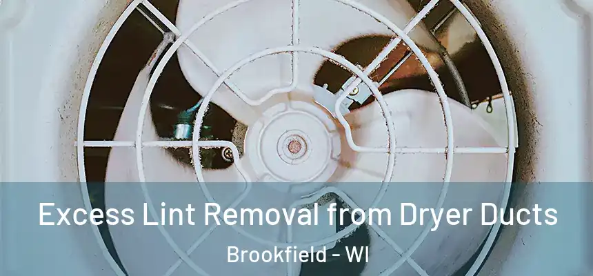 Excess Lint Removal from Dryer Ducts Brookfield - WI