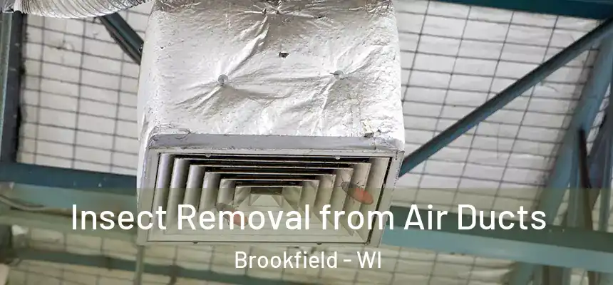  Insect Removal from Air Ducts Brookfield - WI