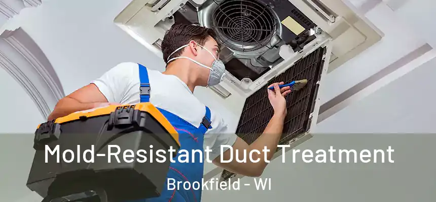  Mold-Resistant Duct Treatment Brookfield - WI