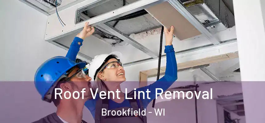  Roof Vent Lint Removal Brookfield - WI
