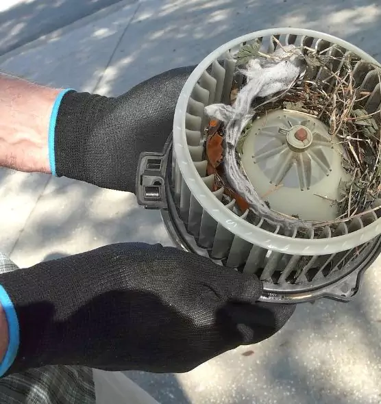 About Air Duct Mice Removal in Brookfield, WI